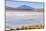 Bolivia, Antiplano - Canapa Lake-Elzbieta Sekowska-Mounted Photographic Print