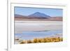 Bolivia, Antiplano - Canapa Lake-Elzbieta Sekowska-Framed Photographic Print