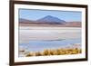 Bolivia, Antiplano - Canapa Lake-Elzbieta Sekowska-Framed Photographic Print
