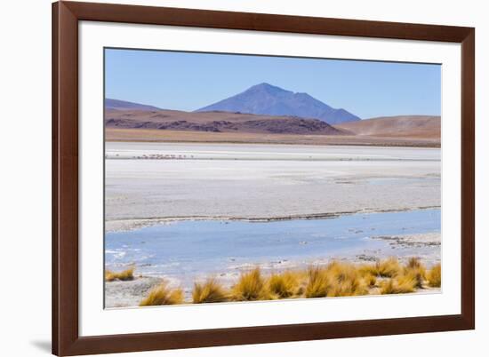 Bolivia, Antiplano - Canapa Lake-Elzbieta Sekowska-Framed Photographic Print