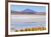 Bolivia, Antiplano - Canapa Lake-Elzbieta Sekowska-Framed Photographic Print