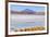 Bolivia, Antiplano - Canapa Lake-Elzbieta Sekowska-Framed Photographic Print