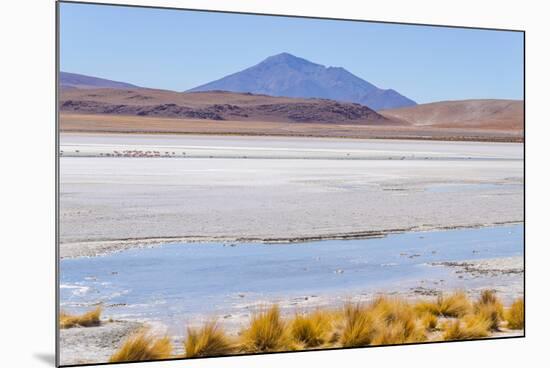 Bolivia, Antiplano - Canapa Lake-Elzbieta Sekowska-Mounted Photographic Print