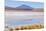 Bolivia, Antiplano - Canapa Lake-Elzbieta Sekowska-Mounted Photographic Print