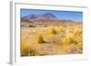 Bolivia, Antiplano - Canapa Lake-Elzbieta Sekowska-Framed Photographic Print