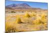 Bolivia, Antiplano - Canapa Lake-Elzbieta Sekowska-Mounted Photographic Print