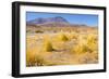 Bolivia, Antiplano - Canapa Lake-Elzbieta Sekowska-Framed Photographic Print