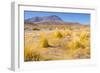 Bolivia, Antiplano - Canapa Lake-Elzbieta Sekowska-Framed Photographic Print