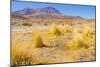 Bolivia, Antiplano - Canapa Lake-Elzbieta Sekowska-Mounted Photographic Print