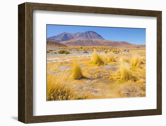 Bolivia, Antiplano - Canapa Lake-Elzbieta Sekowska-Framed Photographic Print