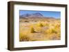 Bolivia, Antiplano - Canapa Lake-Elzbieta Sekowska-Framed Photographic Print