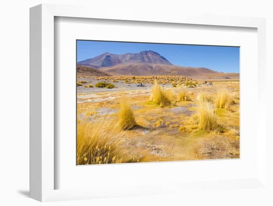 Bolivia, Antiplano - Canapa Lake-Elzbieta Sekowska-Framed Photographic Print