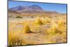 Bolivia, Antiplano - Canapa Lake-Elzbieta Sekowska-Mounted Photographic Print