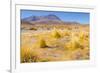 Bolivia, Antiplano - Canapa Lake-Elzbieta Sekowska-Framed Photographic Print