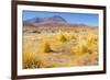 Bolivia, Antiplano - Canapa Lake-Elzbieta Sekowska-Framed Photographic Print