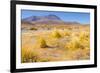 Bolivia, Antiplano - Canapa Lake-Elzbieta Sekowska-Framed Photographic Print