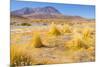 Bolivia, Antiplano - Canapa Lake-Elzbieta Sekowska-Mounted Photographic Print