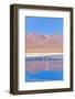 Bolivia, Antiplano - Canapa Lake-Elzbieta Sekowska-Framed Photographic Print