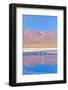 Bolivia, Antiplano - Canapa Lake-Elzbieta Sekowska-Framed Photographic Print