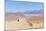 Bolivia, Antiplano - Landscape with SUV-Elzbieta Sekowska-Mounted Photographic Print