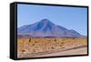 Bolivia, Antiplano - Landscape with Vicunas-Elzbieta Sekowska-Framed Stretched Canvas