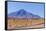 Bolivia, Antiplano - Landscape with Vicunas-Elzbieta Sekowska-Framed Stretched Canvas