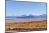 Bolivia, Antiplano - Landscape with Vicunas-Elzbieta Sekowska-Mounted Photographic Print