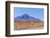 Bolivia, Antiplano - Landscape with Vicunas-Elzbieta Sekowska-Framed Photographic Print