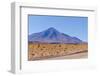 Bolivia, Antiplano - Landscape with Vicunas-Elzbieta Sekowska-Framed Photographic Print