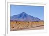 Bolivia, Antiplano - Landscape with Vicunas-Elzbieta Sekowska-Framed Photographic Print