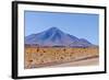 Bolivia, Antiplano - Landscape with Vicunas-Elzbieta Sekowska-Framed Photographic Print