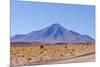 Bolivia, Antiplano - Landscape with Vicunas-Elzbieta Sekowska-Mounted Photographic Print