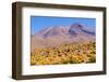 Bolivia, Antiplano - Shore of Canapa Lake-Elzbieta Sekowska-Framed Photographic Print