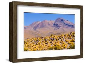 Bolivia, Antiplano - Shore of Canapa Lake-Elzbieta Sekowska-Framed Photographic Print