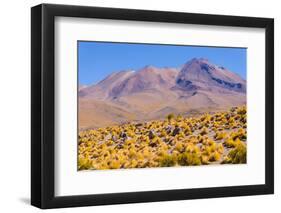 Bolivia, Antiplano - Shore of Canapa Lake-Elzbieta Sekowska-Framed Photographic Print