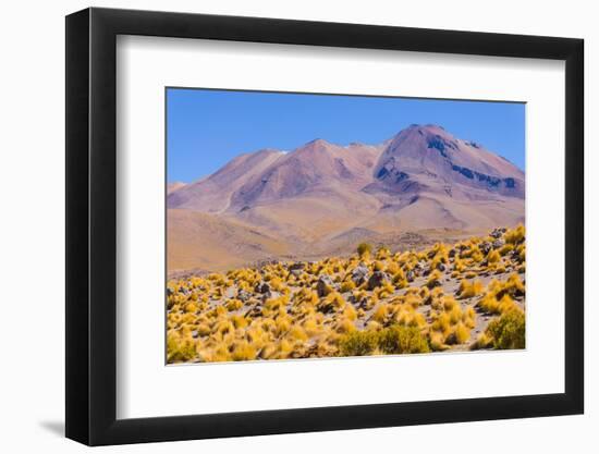 Bolivia, Antiplano - Shore of Canapa Lake-Elzbieta Sekowska-Framed Photographic Print