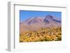 Bolivia, Antiplano - Shore of Canapa Lake-Elzbieta Sekowska-Framed Photographic Print