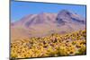 Bolivia, Antiplano - Shore of Canapa Lake-Elzbieta Sekowska-Mounted Photographic Print