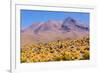 Bolivia, Antiplano - Shore of Canapa Lake-Elzbieta Sekowska-Framed Photographic Print