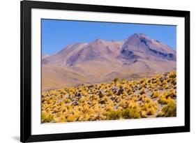 Bolivia, Antiplano - Shore of Canapa Lake-Elzbieta Sekowska-Framed Photographic Print