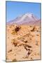 Bolivia, Antiplano - Volcano Ollague-Elzbieta Sekowska-Mounted Photographic Print