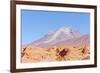 Bolivia, Antiplano - Volcano Ollague-Elzbieta Sekowska-Framed Photographic Print