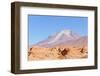 Bolivia, Antiplano - Volcano Ollague-Elzbieta Sekowska-Framed Photographic Print
