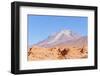 Bolivia, Antiplano - Volcano Ollague-Elzbieta Sekowska-Framed Photographic Print