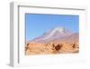 Bolivia, Antiplano - Volcano Ollague-Elzbieta Sekowska-Framed Photographic Print