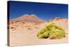 Bolivia - Eduardo Avaroa National Park-rchphoto-Stretched Canvas