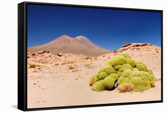 Bolivia - Eduardo Avaroa National Park-rchphoto-Framed Stretched Canvas