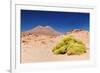 Bolivia - Eduardo Avaroa National Park-rchphoto-Framed Photographic Print