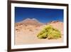 Bolivia - Eduardo Avaroa National Park-rchphoto-Framed Photographic Print