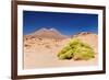 Bolivia - Eduardo Avaroa National Park-rchphoto-Framed Photographic Print